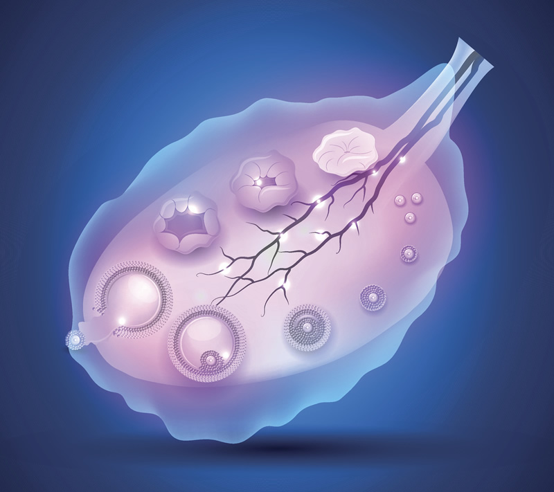 西安辅助生殖与生育支持医院选择指南：面向多元家庭的试管婴儿服务与核心医院信息参考